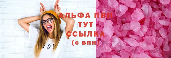 прущие грибы Нефтекумск
