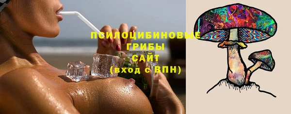 прущие грибы Нефтекумск