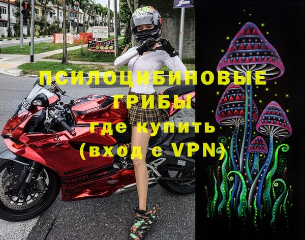 ГАЛЛЮЦИНОГЕННЫЕ ГРИБЫ Нея