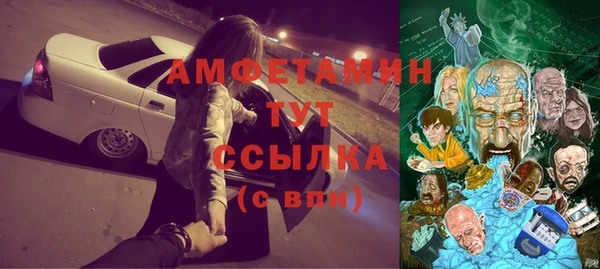 прущие грибы Нефтекумск