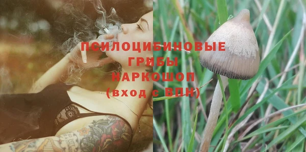 ГАЛЛЮЦИНОГЕННЫЕ ГРИБЫ Нея