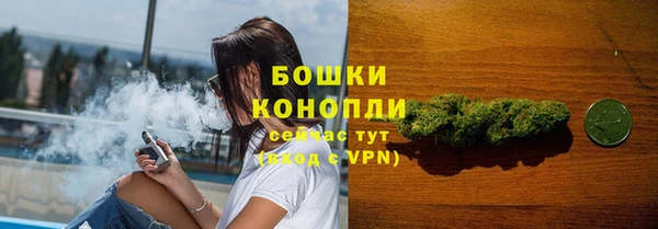 ГАЛЛЮЦИНОГЕННЫЕ ГРИБЫ Нея